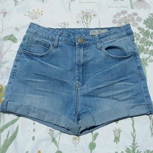 Papaya High Rise Denim Shorts